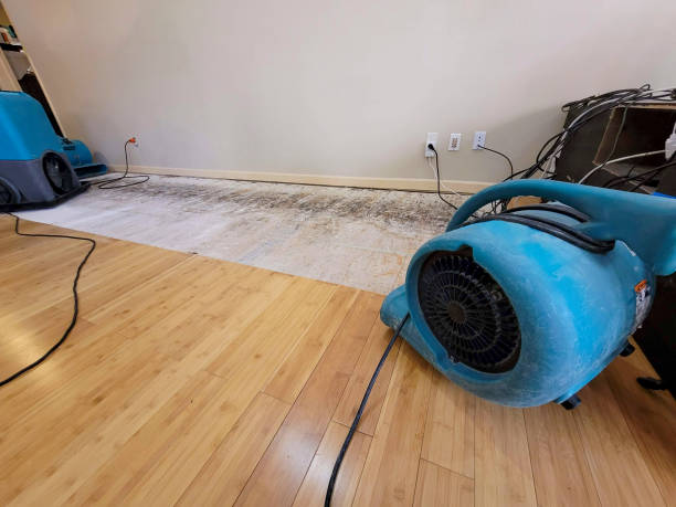 Professional Burst Pipe Water Damage technician working in Jemez Springs, NM